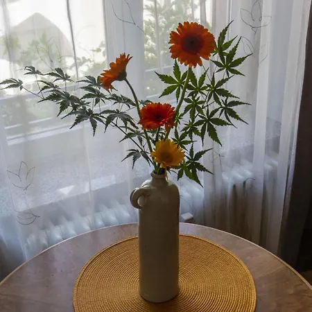 Apartamento Im Cafe Einstein Friburgo de Brisgovia