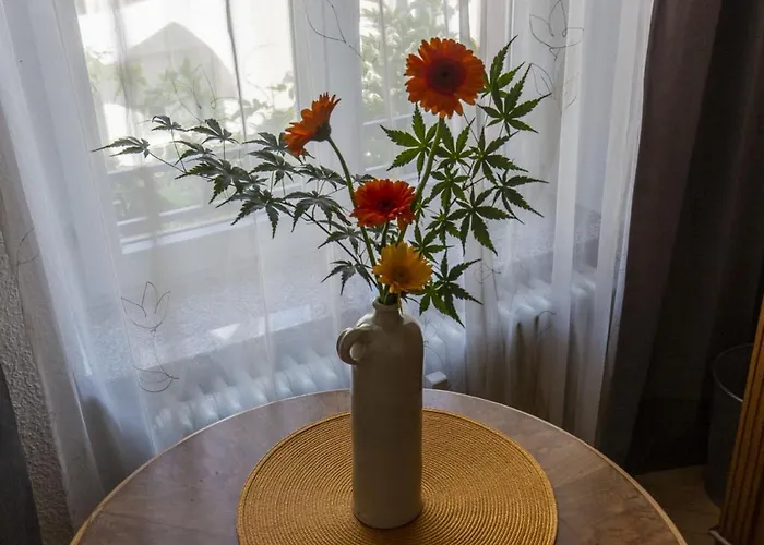 בית הארחה Im Cafe Einstein פרייבורג